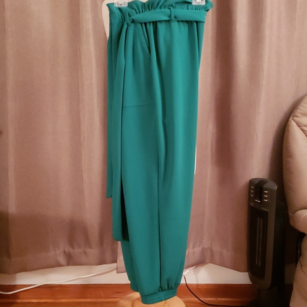 Ashley Stewart Pants